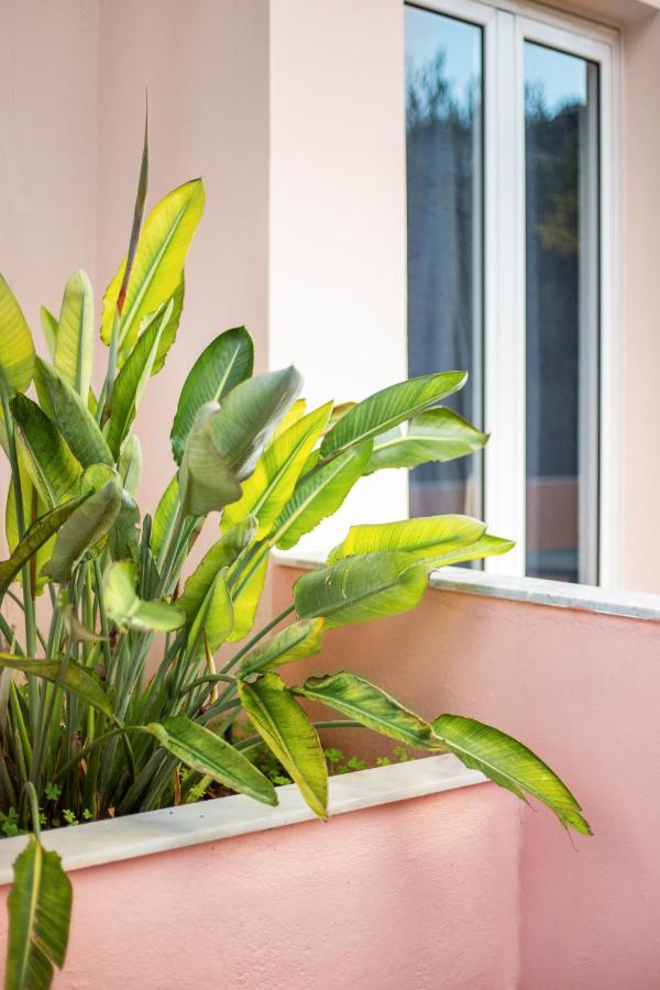 Aphrodite Studios & Apartment Bali  Zewnętrze zdjęcie
